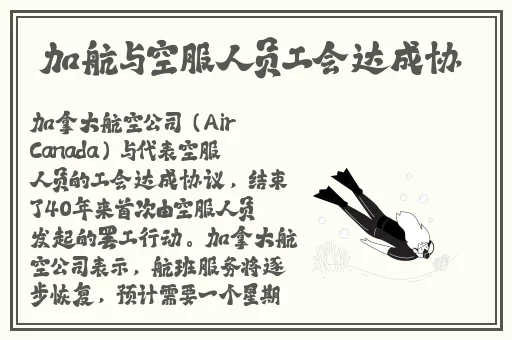 b站暴躁姐